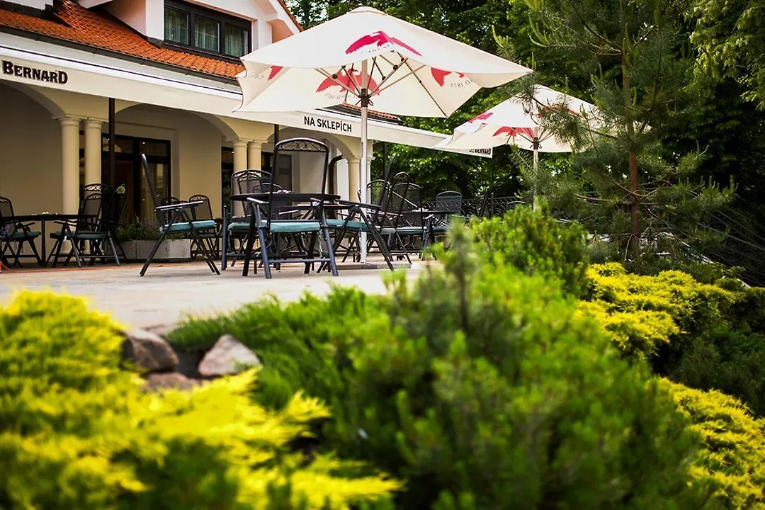 Guest house Penzion Na Sklepich Chrudim